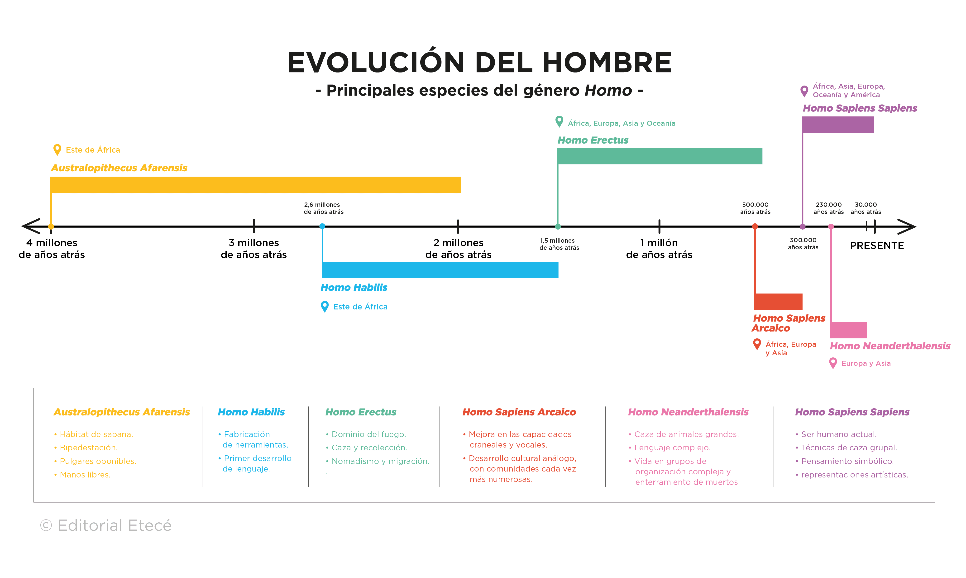 Lnea Del Tiempo De La Evolucin Humana Línea De Tiempo De La Historia
